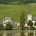Piesport